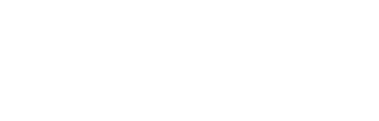 anassa_logo_white